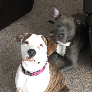 Meet your Posher, Jay